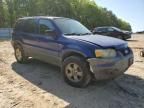 2005 Ford Escape XLT