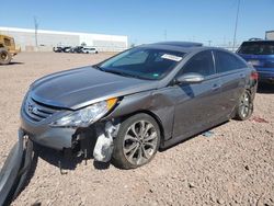 Salvage cars for sale at Phoenix, AZ auction: 2014 Hyundai Sonata SE