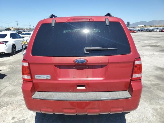 2010 Ford Escape XLT