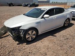 Salvage cars for sale from Copart Phoenix, AZ: 2016 KIA Optima Hybrid