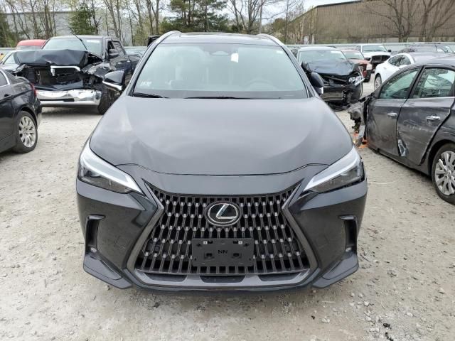 2024 Lexus NX 250 Premium