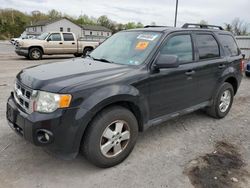 Salvage cars for sale from Copart York Haven, PA: 2012 Ford Escape XLT