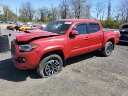 Salvage cars for sale from Copart Marlboro, NY: 2023 Toyota Tacoma Double Cab