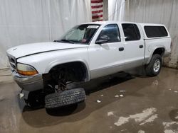 Salvage cars for sale from Copart Central Square, NY: 2004 Dodge Dakota Quad SLT