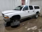 2004 Dodge Dakota Quad SLT