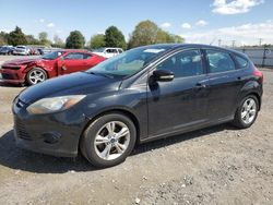 Ford Focus SE salvage cars for sale: 2014 Ford Focus SE