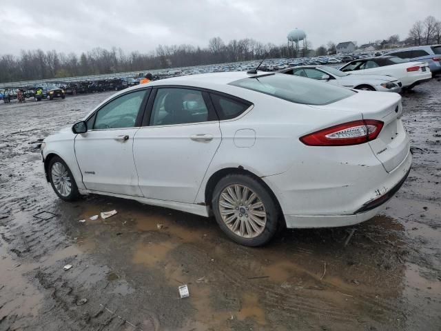 2013 Ford Fusion SE Hybrid