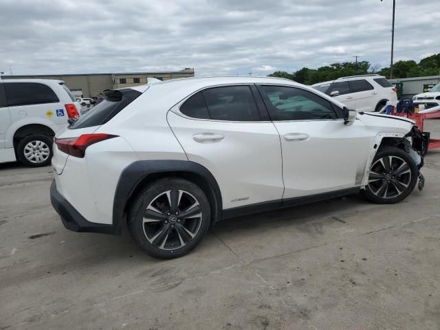 2019 Lexus UX 250H