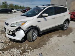 Salvage cars for sale at Lawrenceburg, KY auction: 2013 Ford Escape SEL