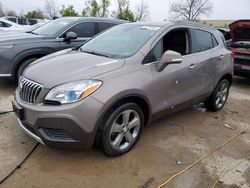 Salvage cars for sale at Bridgeton, MO auction: 2014 Buick Encore