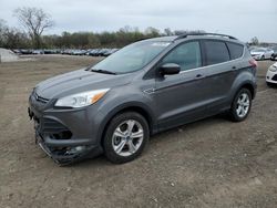 Ford Escape Vehiculos salvage en venta: 2014 Ford Escape SE