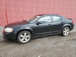 Dodge Avenger salvage cars for sale: 2008 Dodge Avenger SXT