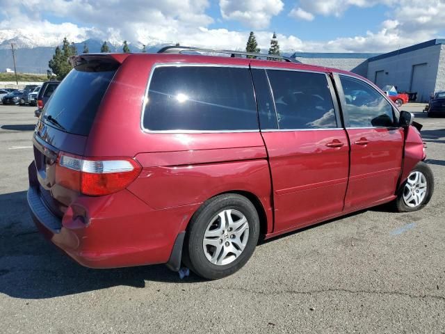 2006 Honda Odyssey EXL