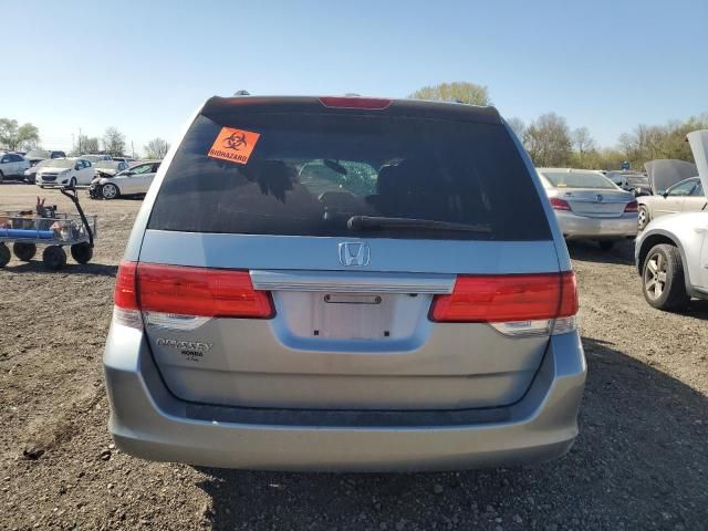 2008 Honda Odyssey EXL