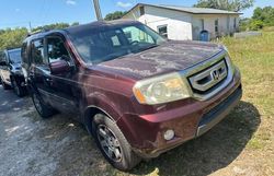 Honda Pilot Touring salvage cars for sale: 2009 Honda Pilot Touring