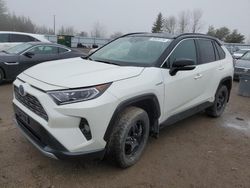 Salvage cars for sale from Copart Ontario Auction, ON: 2019 Toyota Rav4 XLE