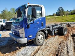 Isuzu NQR Vehiculos salvage en venta: 2021 Isuzu NQR