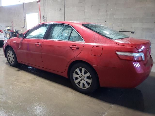 2009 Toyota Camry Hybrid