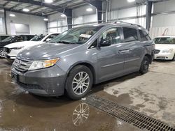 Salvage cars for sale at Ham Lake, MN auction: 2012 Honda Odyssey EXL