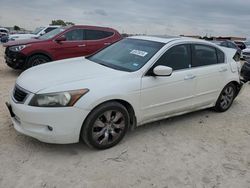 Honda Accord exl salvage cars for sale: 2010 Honda Accord EXL