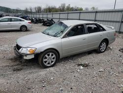 Toyota Avalon Vehiculos salvage en venta: 2004 Toyota Avalon XL