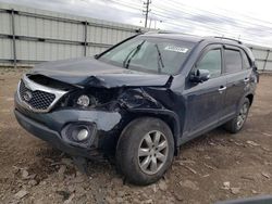 Salvage Cars with No Bids Yet For Sale at auction: 2011 KIA Sorento Base