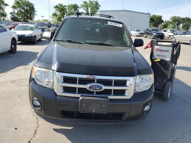 2009 Ford Escape XLT