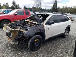 Salvage cars for sale at Graham, WA auction: 2024 Subaru Outback Wilderness