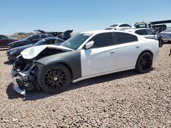 Salvage cars for sale from Copart Phoenix, AZ: 2017 Dodge Charger R/T