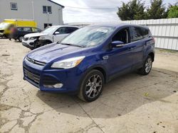 Salvage cars for sale at Windsor, NJ auction: 2013 Ford Escape SEL