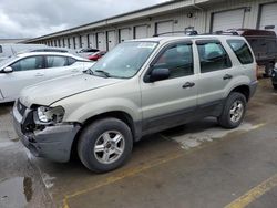 Ford salvage cars for sale: 2004 Ford Escape XLS