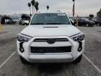 2023 Toyota 4runner SE