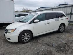 Salvage cars for sale from Copart Albany, NY: 2014 Honda Odyssey EX