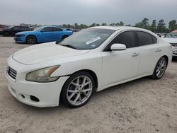 Salvage cars for sale at Houston, TX auction: 2013 Nissan Maxima S