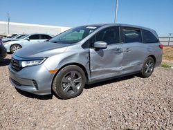 Salvage cars for sale at Phoenix, AZ auction: 2024 Honda Odyssey EX