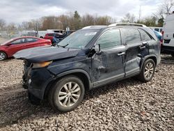 Salvage cars for sale at Chalfont, PA auction: 2011 KIA Sorento EX