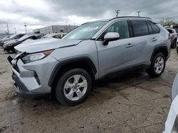 Salvage cars for sale from Copart Chicago Heights, IL: 2019 Toyota Rav4 XLE