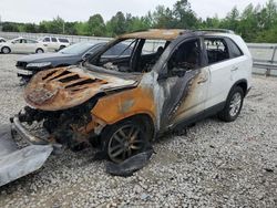 Salvage cars for sale at Memphis, TN auction: 2014 KIA Sorento LX