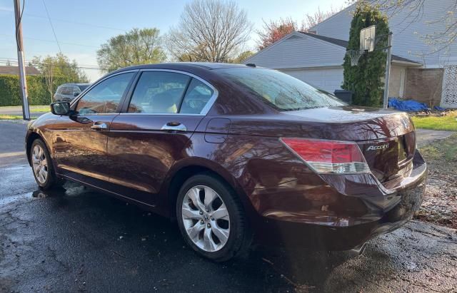 2010 Honda Accord EXL