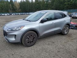 Salvage cars for sale from Copart Graham, WA: 2022 Ford Escape SE