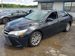 Flood-damaged cars for sale at auction: 2017 Toyota Camry Hybrid