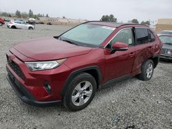 Salvage cars for sale at Mentone, CA auction: 2019 Toyota Rav4 XLE