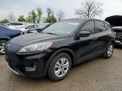Salvage cars for sale at Bridgeton, MO auction: 2020 Ford Escape S