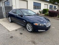 Salvage cars for sale at Antelope, CA auction: 2013 Jaguar XF