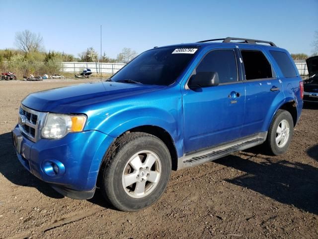 2011 Ford Escape XLT