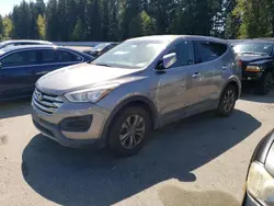 Salvage cars for sale at Arlington, WA auction: 2014 Hyundai Santa FE Sport