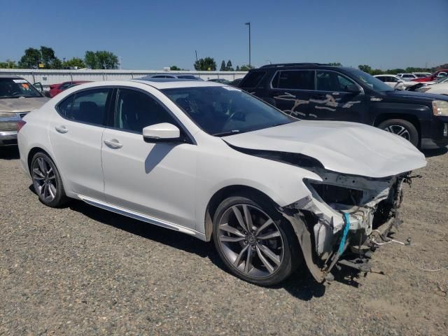 2019 Acura TLX Advance