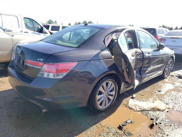 2011 Honda Accord EXL