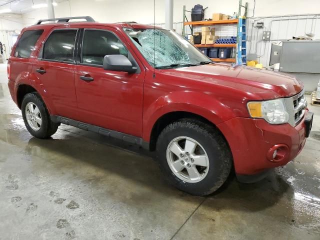 2010 Ford Escape XLT