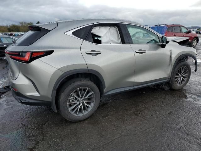 2023 Lexus NX 350